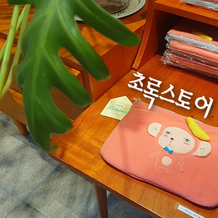  남해 여행 기념으로 뭘 살까? 소품샵 초록스토어 방문기
