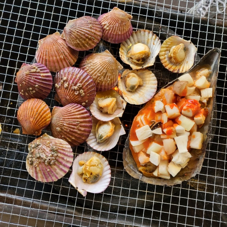  [가평채움카라반글램핑리조트] 신축이라 깔끔한 가평글램핑 카라반캠핑