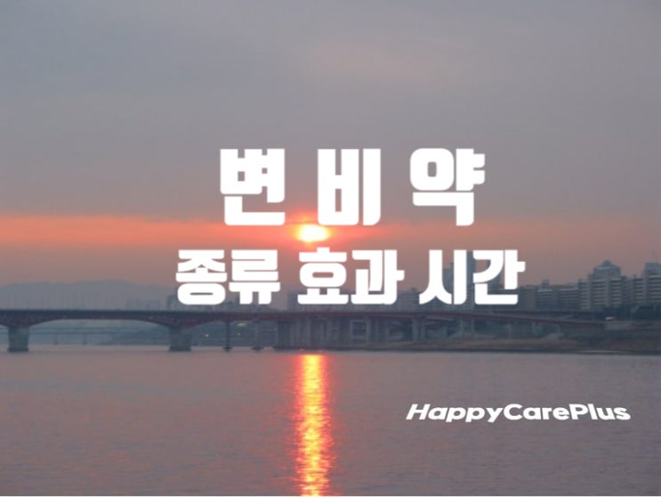  변비약 종류 / 변비약 효과/ 변비약 시간