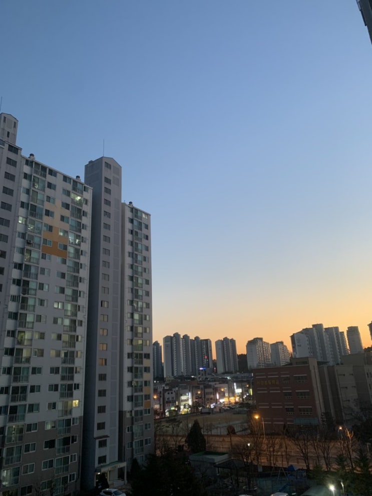  피리쀼 부인 일상기록