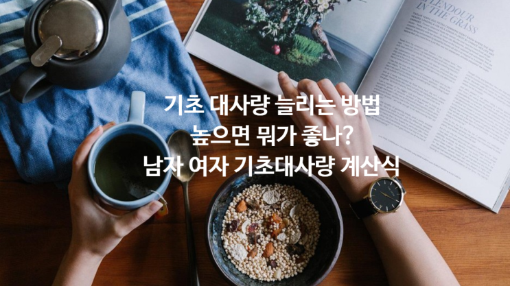  기초대사량 늘리는 방법, 높으면 뭐가 좋나? 남자 여자 기초대사량 계산식
