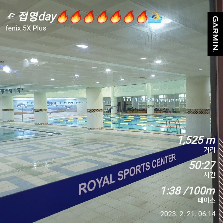  [수영일기] 2월 21일 접영하다 토할뻔!