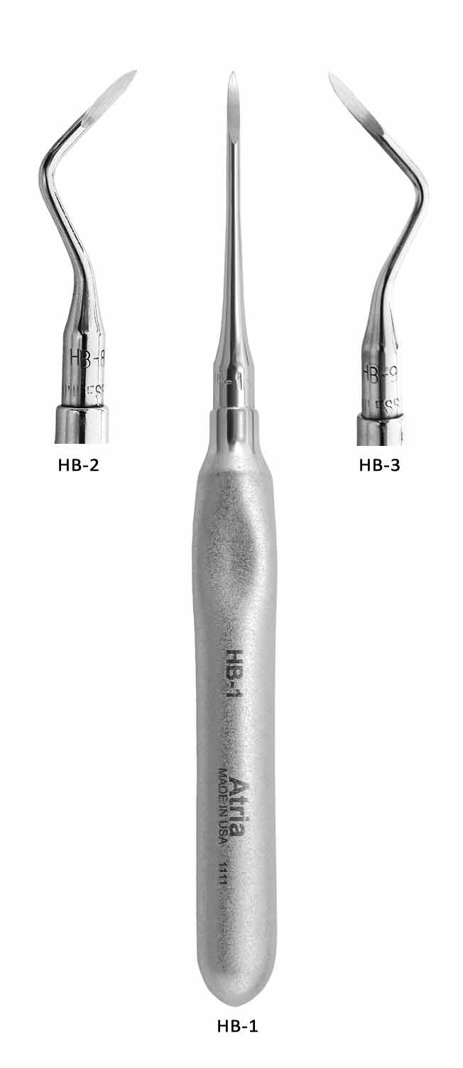 ROOT TIP Pickers Root Screws 루트 팁 픽(루트픽커) Atria : 네이버 블로그