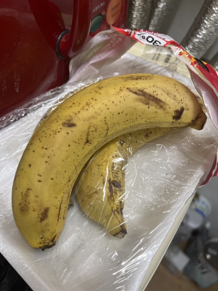  Banana,바나나를 알아보자