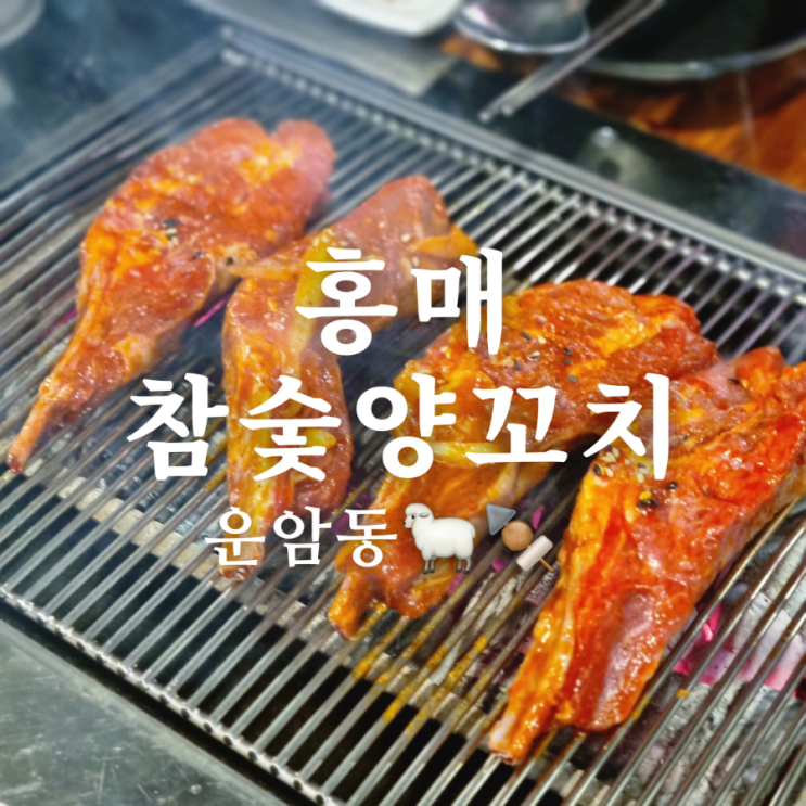  [광주 북구 운암동 양갈비 맛집] 홍매참숯양꼬치