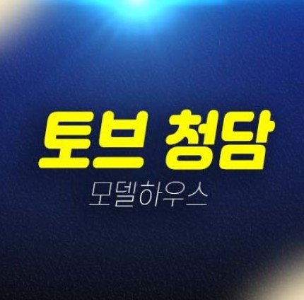 토브 청담 강남구 청담동 TOV 주상복합 아파트,오피스텔,상가 세컨하우스 고급주택 잔여보유분 평형대 투자 견본주택 안내