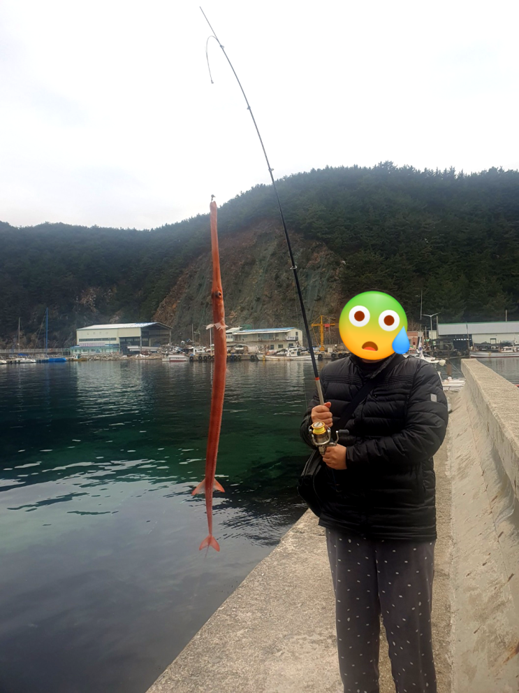 2월 겨울 눈온 뒤 삼척 바다낚시 캠핑 여행, 뜻밖의 홍대치? 2월 겨울 눈온 뒤 삼척 바다낚시 캠핑 여행, 뜻밖의 홍대치?