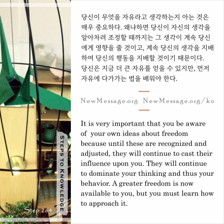 제 264 계단: 나는 오늘 자유를 배울 것이다 I will learn of freedom this day. 제 264 계단: 나는 오늘 자유를 배울 것이다 I will learn of freedom this day.
