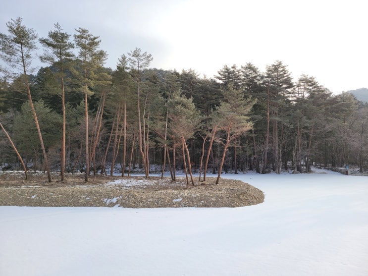  행운의 숫자