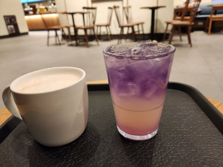 스타벅스 라일락 블라썸 티 () 스타벅스 라일락 블라썸 티 ()
