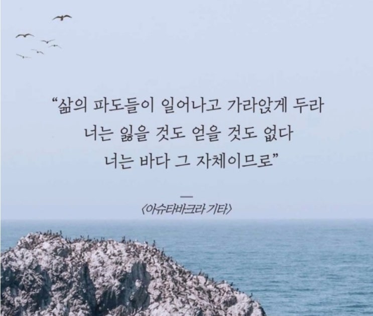  부거사이 [부동산 뉴스와 블로그] 2월 21일(화)