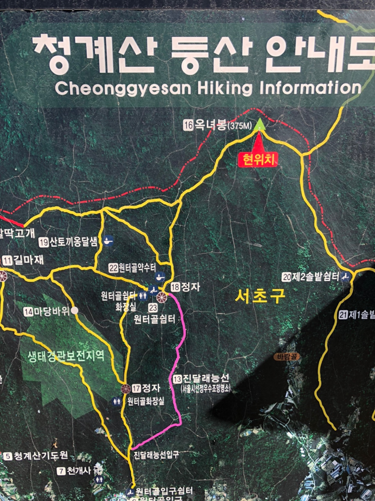  청계산 옥녀봉 아바타, 피톤 케어 힐링하고 왔어요