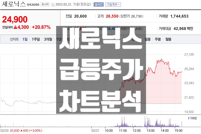  양극재 테슬라 납품 관련주 새로닉스 주가 전망과 차트 분석