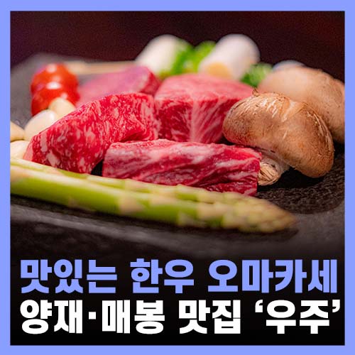  우마카세 서울 한우 오마카세 양재소고기 맛집 우주