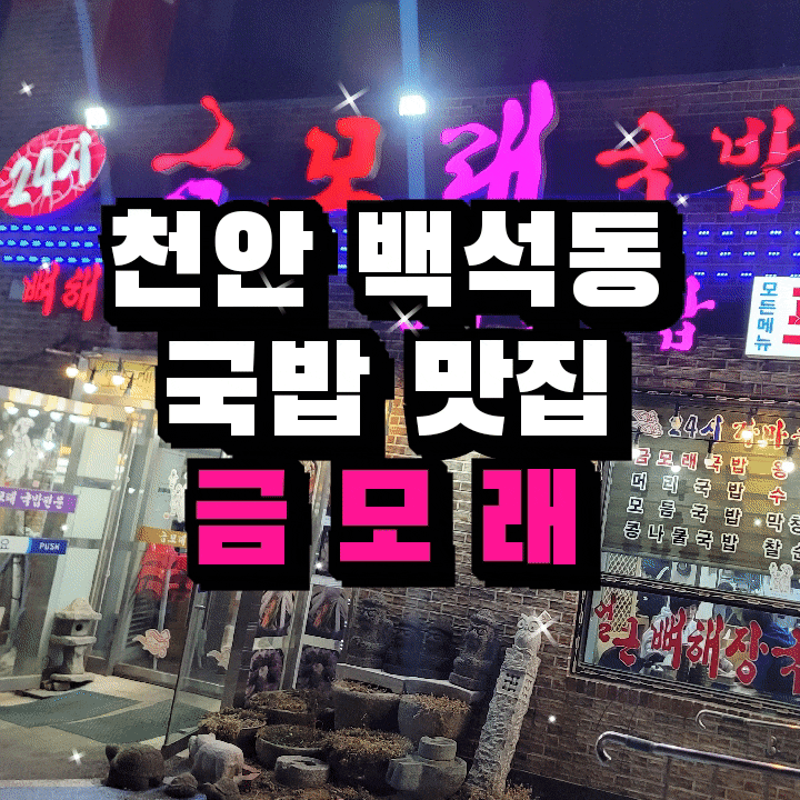  천안 백석동 국밥 맛집  금모래