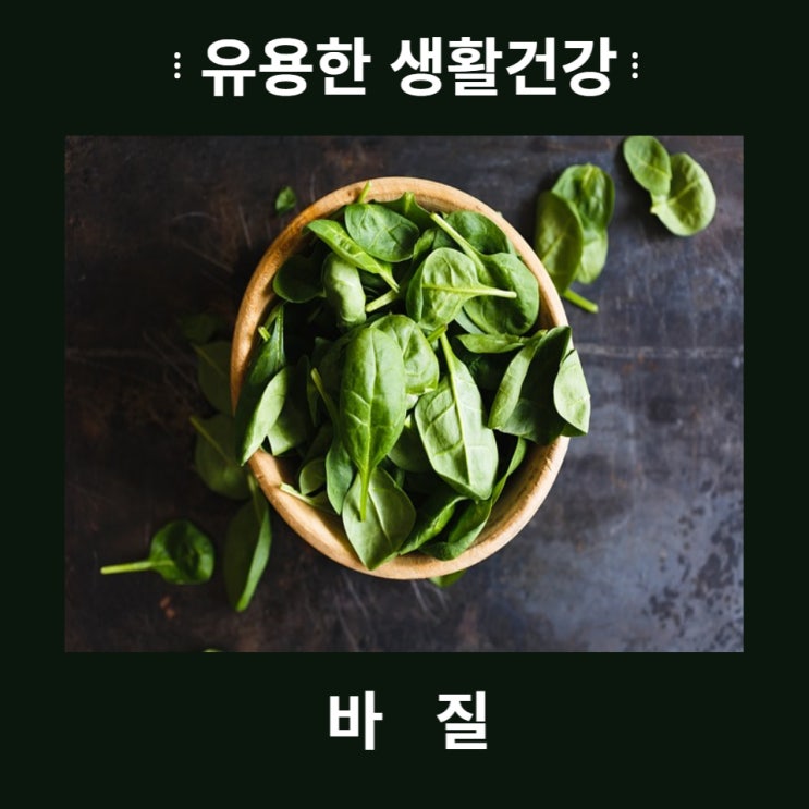  바질(왕의식물)의 효능과 부작용