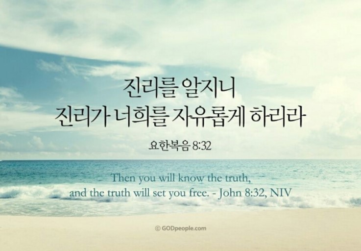 John 8, 요한복음 8장