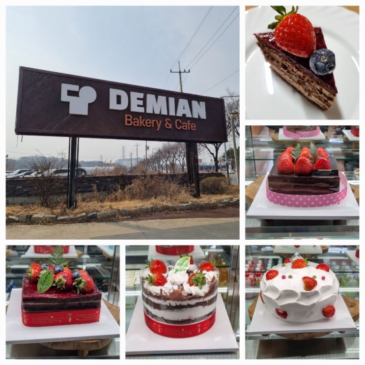  안산 신길동 데미안 베이커리 카페에서 수다떨기(예쁜 케이크)