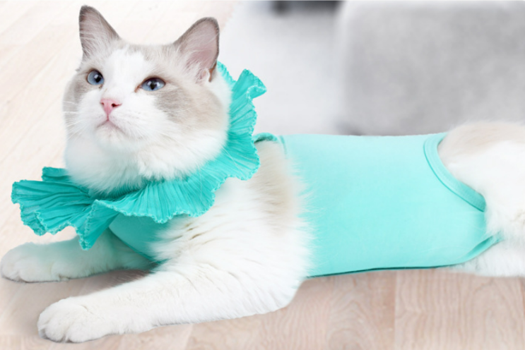 고양이 중성화 수술복 사이즈 딱 맞는"부투펫 스판 환묘복" 스트랩 조절 가능 / 넥카라 싫어하는 반려묘 추천!