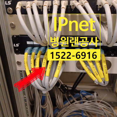  병원 사무실 대규모 랜공사 작업하고 왔습니다