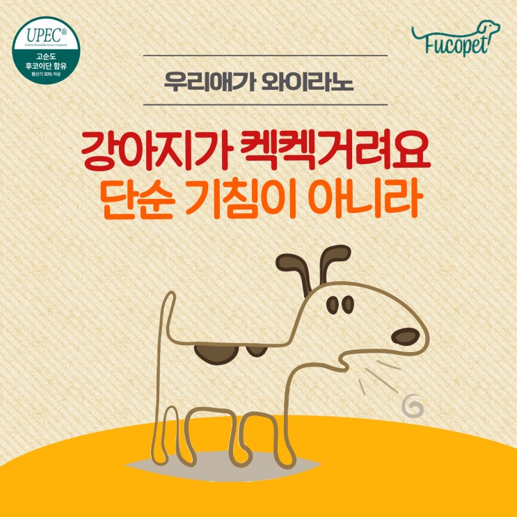  강아지 켁켁 소리, 기침이 아니예요. #폐수종