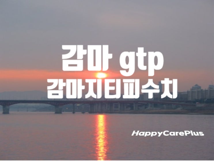 감마 gtp( 감마지티피 수치)