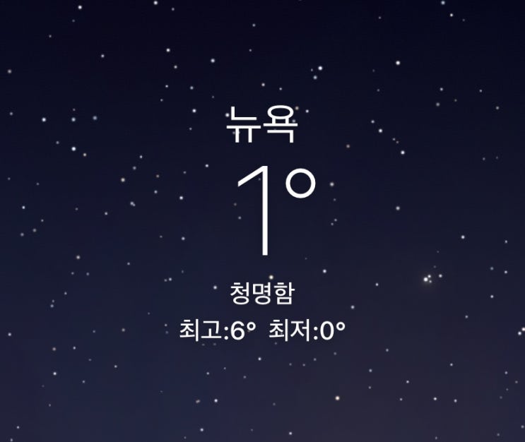  뉴욕 항공권 예약, 발권 완료