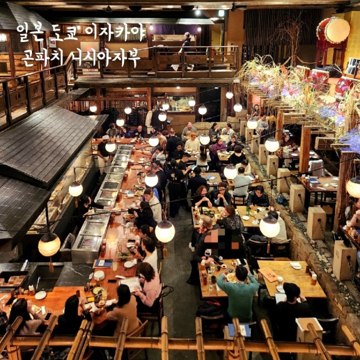  일본 도쿄 여행 롯폰기 이자카야 술집 '곤파치 니시아자부' 분위기 좋은 꼬치 맛집 예약 방법, 추천 메뉴