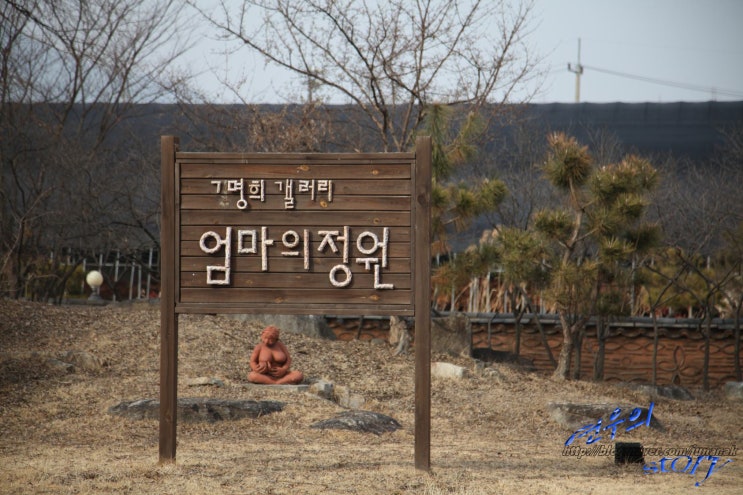  서울 근교 당일치기 여행으로  두물머리 세미원 가볼 만한 곳이네요