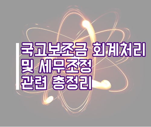  국고보조금 회계처리 및 세무조정 총정리(정부보조금 회계처리)