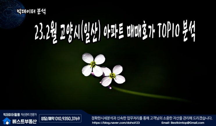 23.2월 고양시(일산) 아파트 매매호가 TOP10 분석 !!!