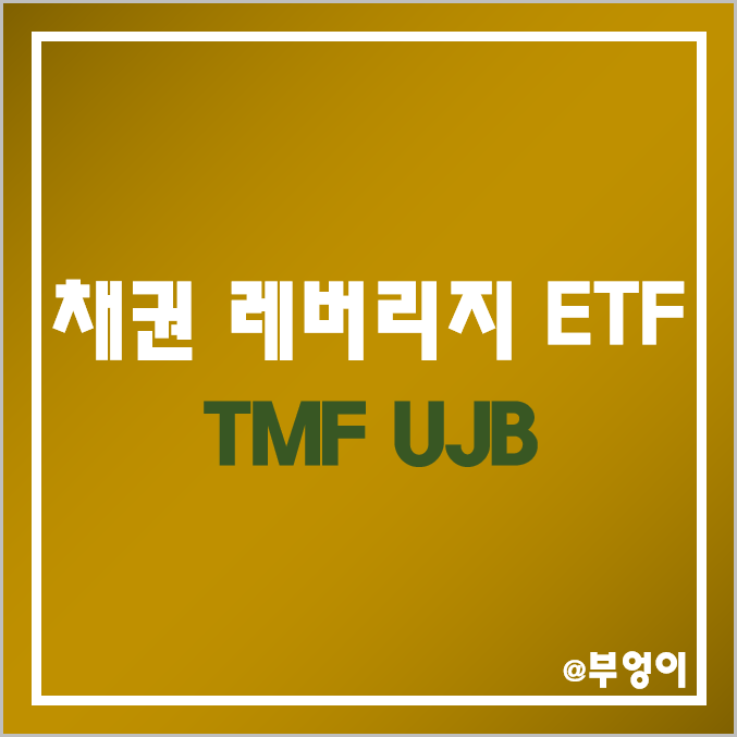 미국 채권 레버리지 ETF - TMF, UJB 주가 및 배당 수익률 (국채 및 하이일드 관련주)