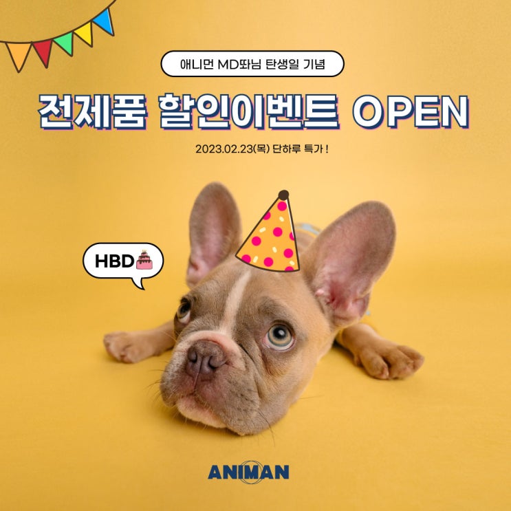 애니먼 MD똬님 생일 기념 할인이벤트