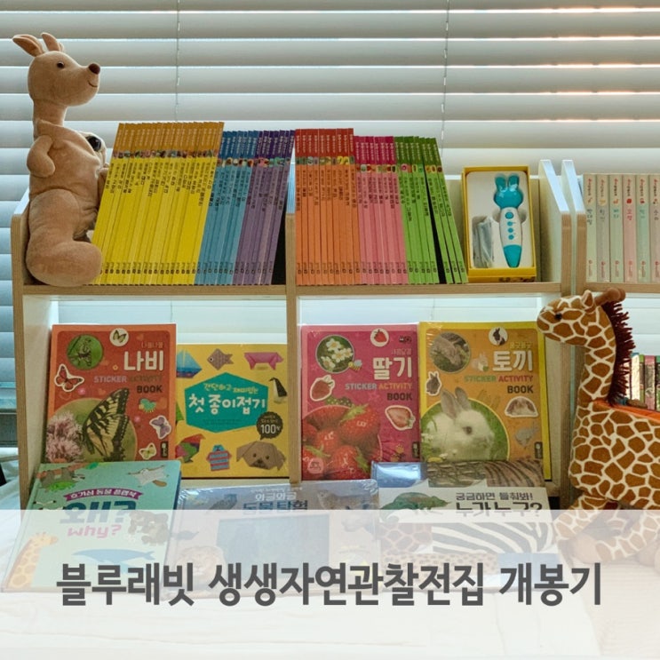  블루래빗 생생자연관찰 유아전집 두돌아기 개봉기 구성 살펴보기