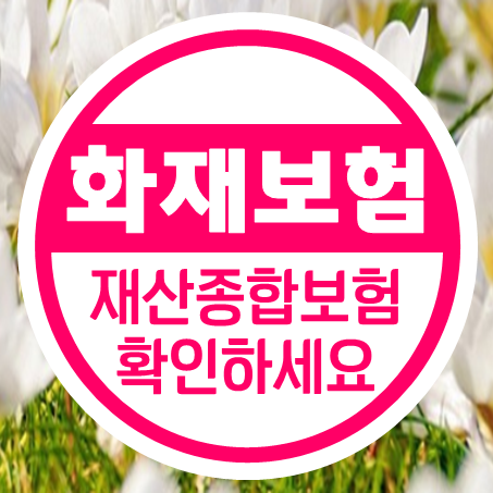  주택화재보험가격 비교 시 재산종합보험 보상 조건이 어떤지 확인해 보세요.