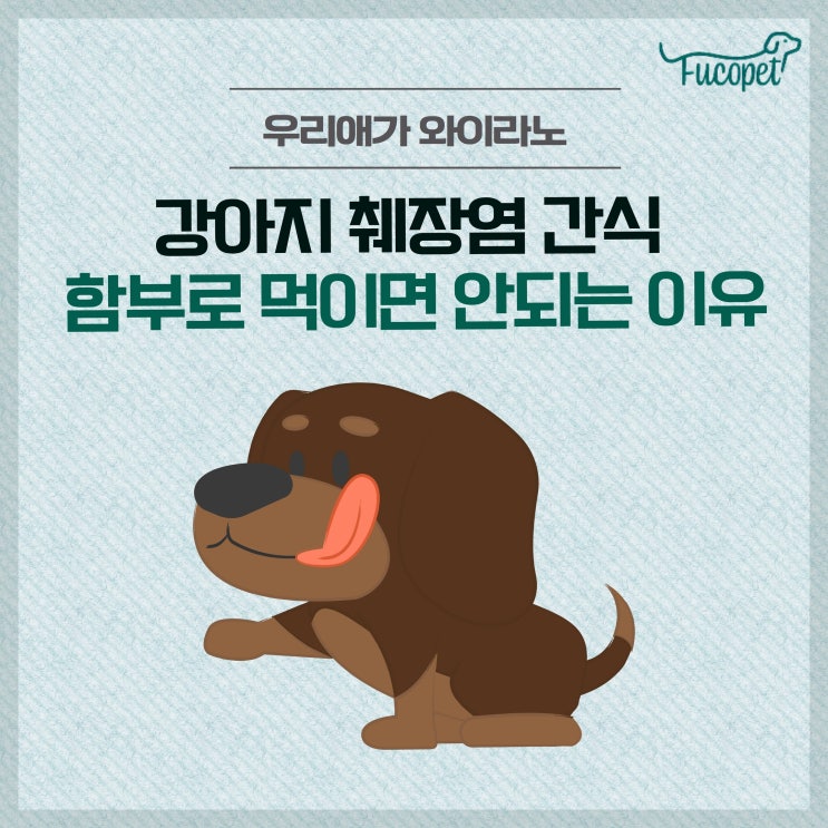  강아지 췌장염 증상, 간식 함부러 먹이면 안되는 이유