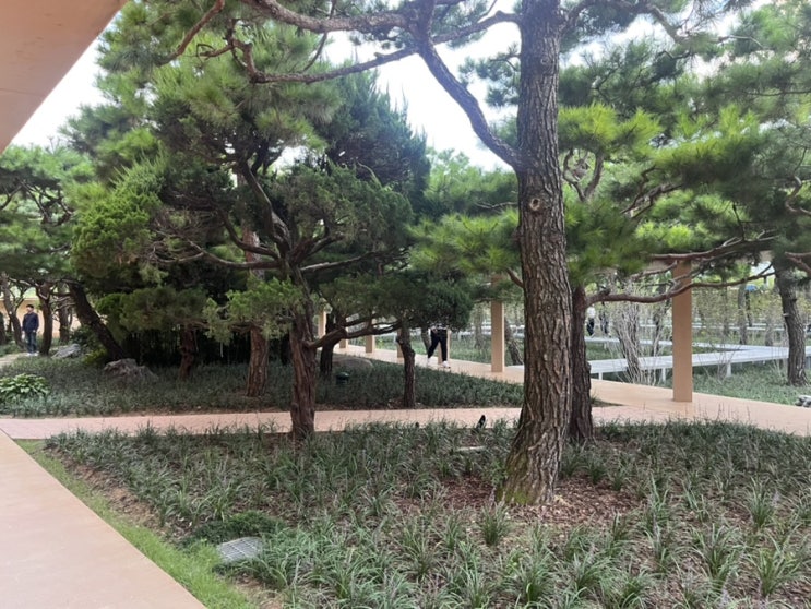  권위주의 사회주의 알아보기