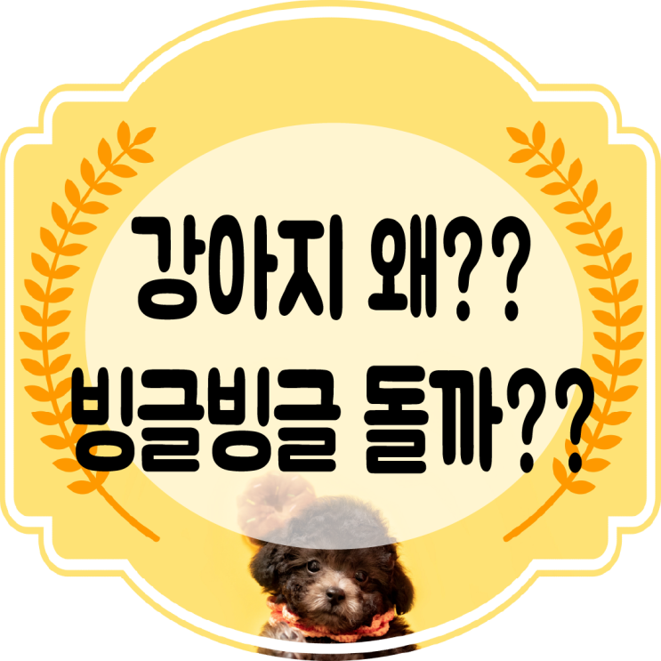  강아지 똥쌀때 왜?? 빙글빙글 돌까??