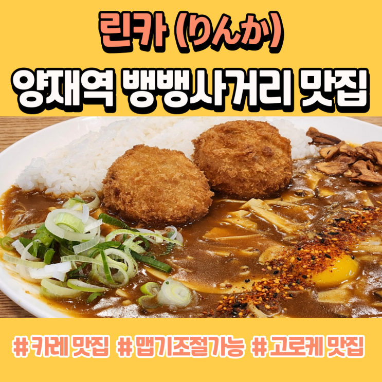  뱅뱅사거리 점심 무설탕 일본식 카레 린카