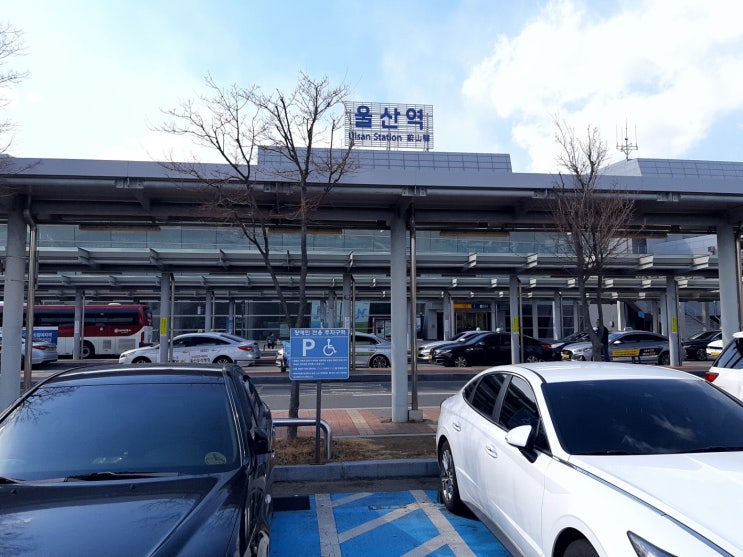  울산KTX, 김해공항 외국인 교환학생 수송!!