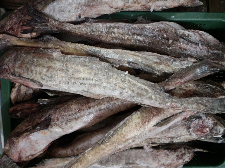  동태,명태,명태곤이,명란 도매 및 구매 정보 및 시세정보