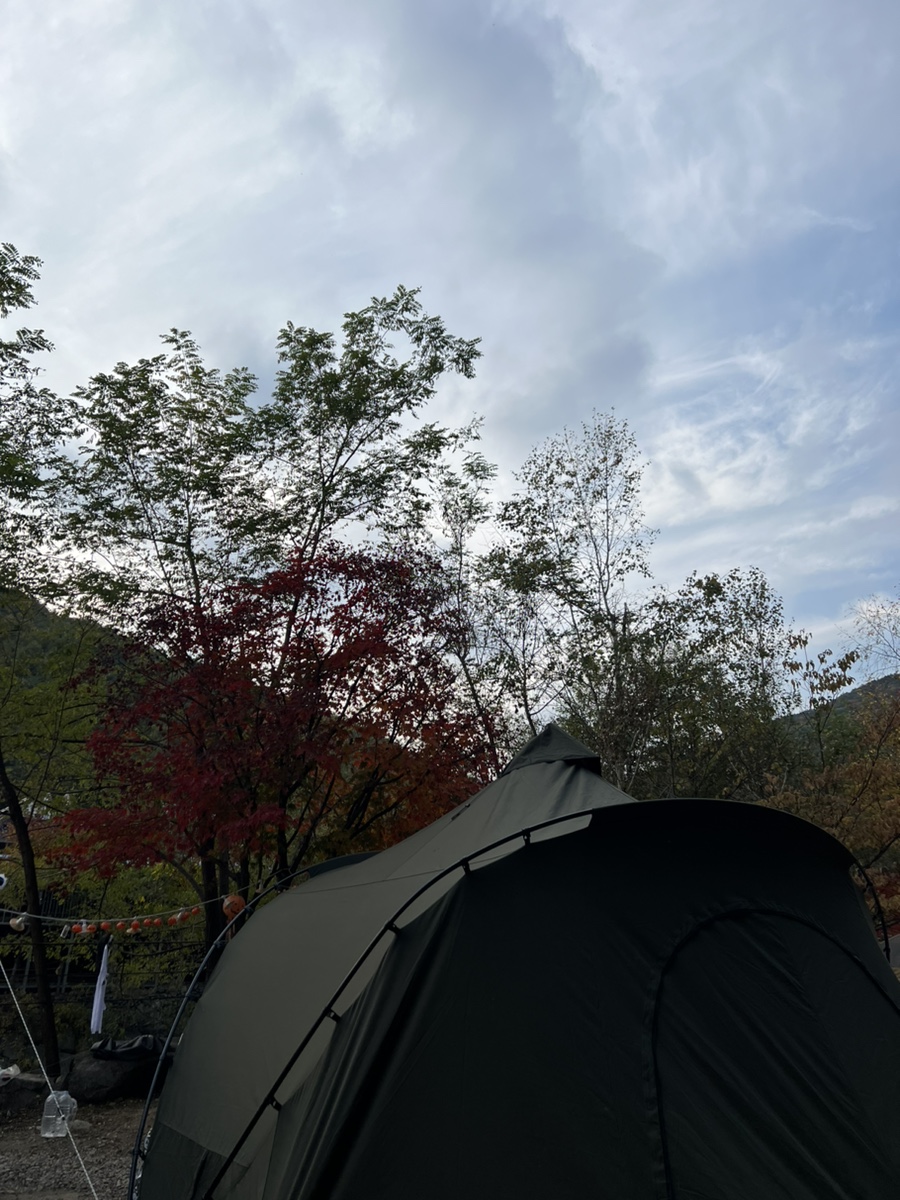 용추돌모리캠핑장 사진 5