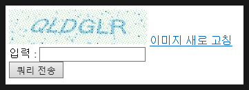 [ASP-Classic] ASP용 CAPTCHA 이미지 생성 Component