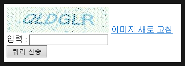  [ASP-Classic] ASP용 CAPTCHA 이미지 생성 Component