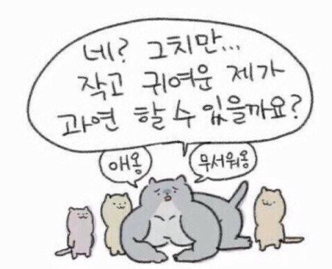  [230221] 주짓수 17회차