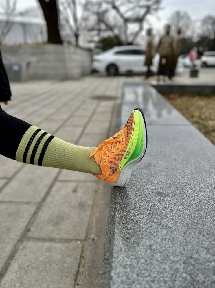 [NIKE] 나이키 러닝화 베이퍼플라이2, 페가수스 터보 추천 내돈내산 후기