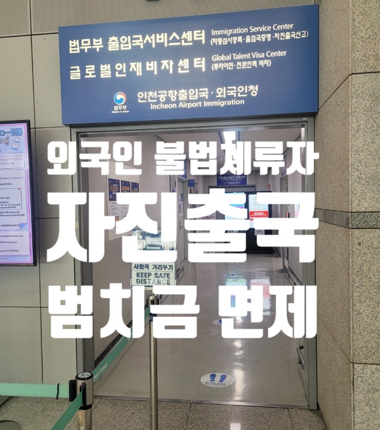 외국인불법체류자 자진출국 범칙금면제 입국규제유예 외국인불법체류자 자진출국 범칙금면제 입국규제유예