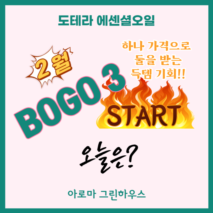  도테라 보고(BOGO) 셋째 날!! 오늘의 오일은?