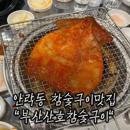 안락동 닭목살구이 닭발 오징어숯불구이 맛집 추천 : 부산산호참숯구이 안락동 닭목살구이 닭발 오징어숯불구이 맛집 추천 : 부산산호참숯구이