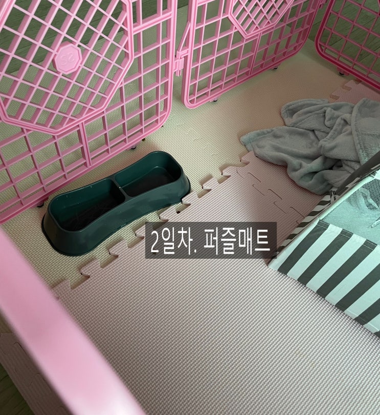  우봉이를 위한 내돈내산 눈독들이다 젤리빈 매트